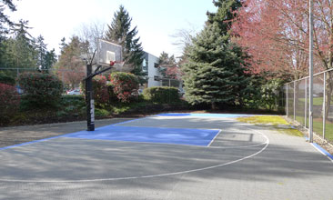 half court basketball installation